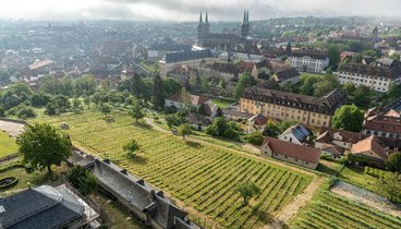 Luftbild auf den Weinberg bei St. Michael