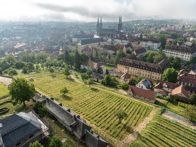 Luftbild auf den Weinberg bei St. Michael