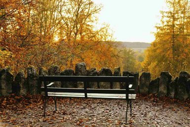 Bank  an einem Aussichtspunkt, rechts und links Bäume mit herbstlich gefärbten Blättern