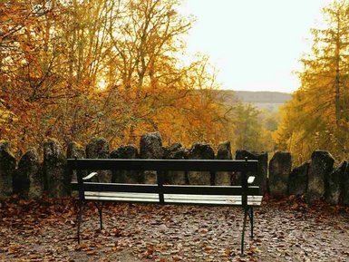 Bank  an einem Aussichtspunkt, rechts und links Bäume mit herbstlich gefärbten Blättern